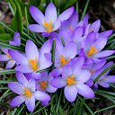 ���� �����, ������, 35 ��� - ��������� 19 ������� 2025