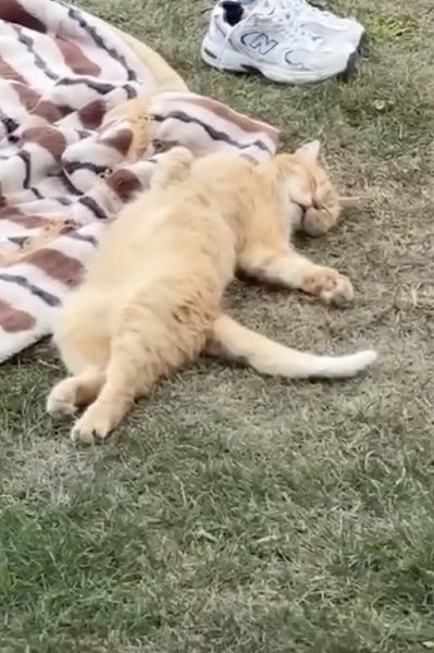 ��� ��� ������ ��������� ������ ���� - 2