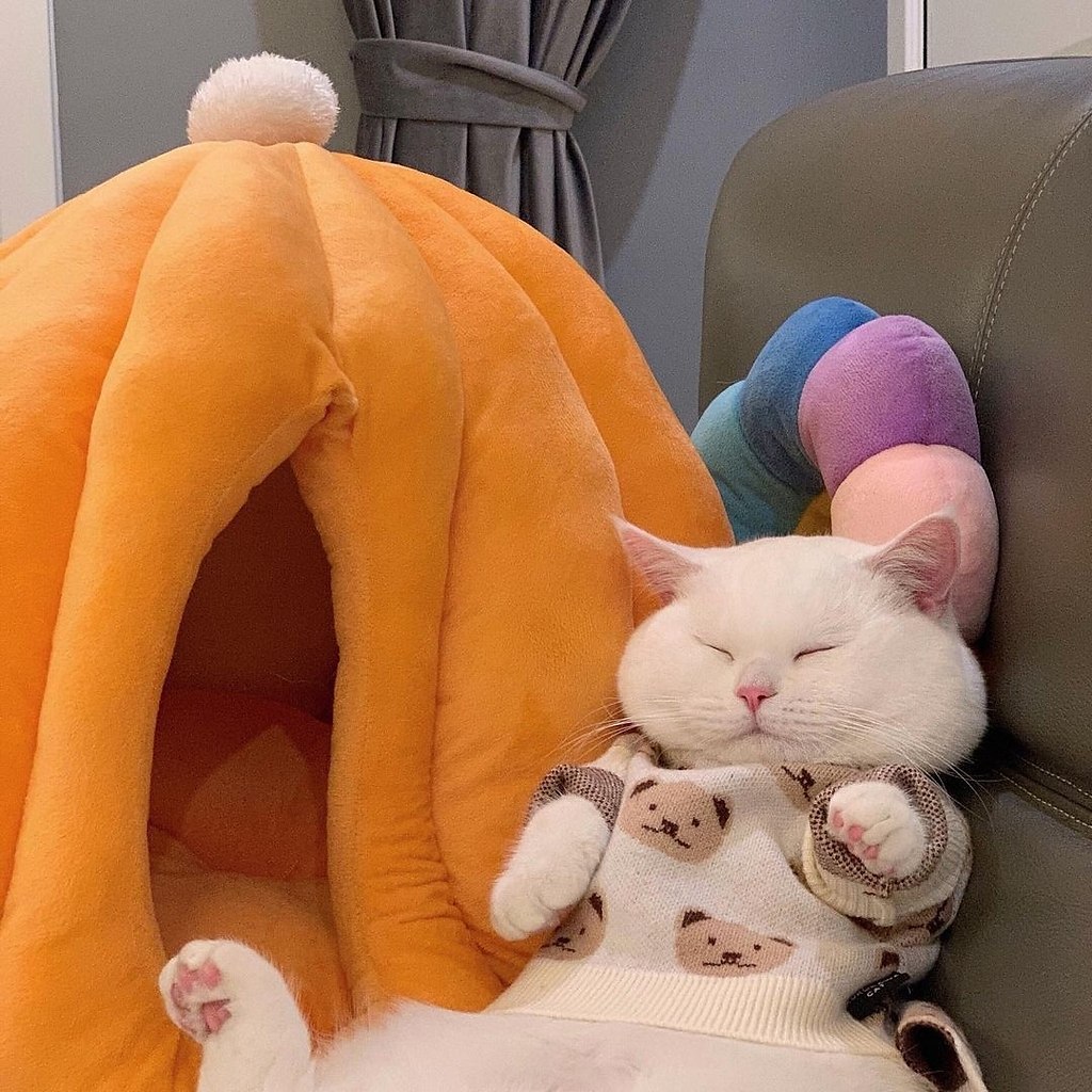 ��� ��� �������� :3 - 4