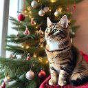 ���� ����, ������� - ��������� 16 ������� 2024