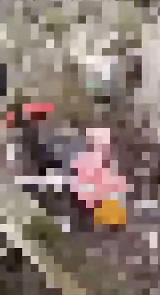  ,   ,     ...       ... - 2