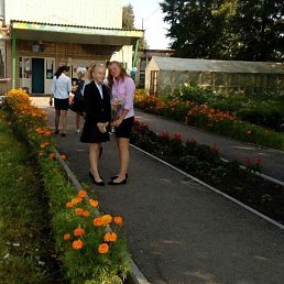 �������, �����-���������, 46 ���