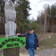 , 65 , 