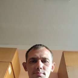 , 33, 