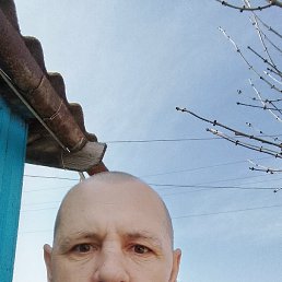 ���� ���������, ���������, 42 ���� - ��������� 29 ����� 2026