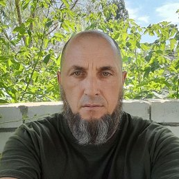 , 48, 