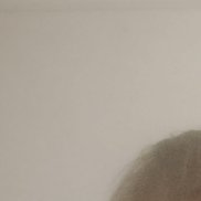 �������, 48 ���, ������