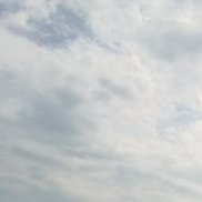 �������, 42 ����, ������