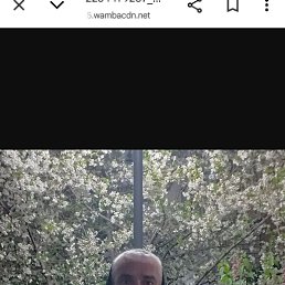 , 43 , 