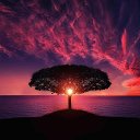 ���� ����, ��������, 18 ��� - ��������� 16 ������ 2026 � ������ ���� ����������