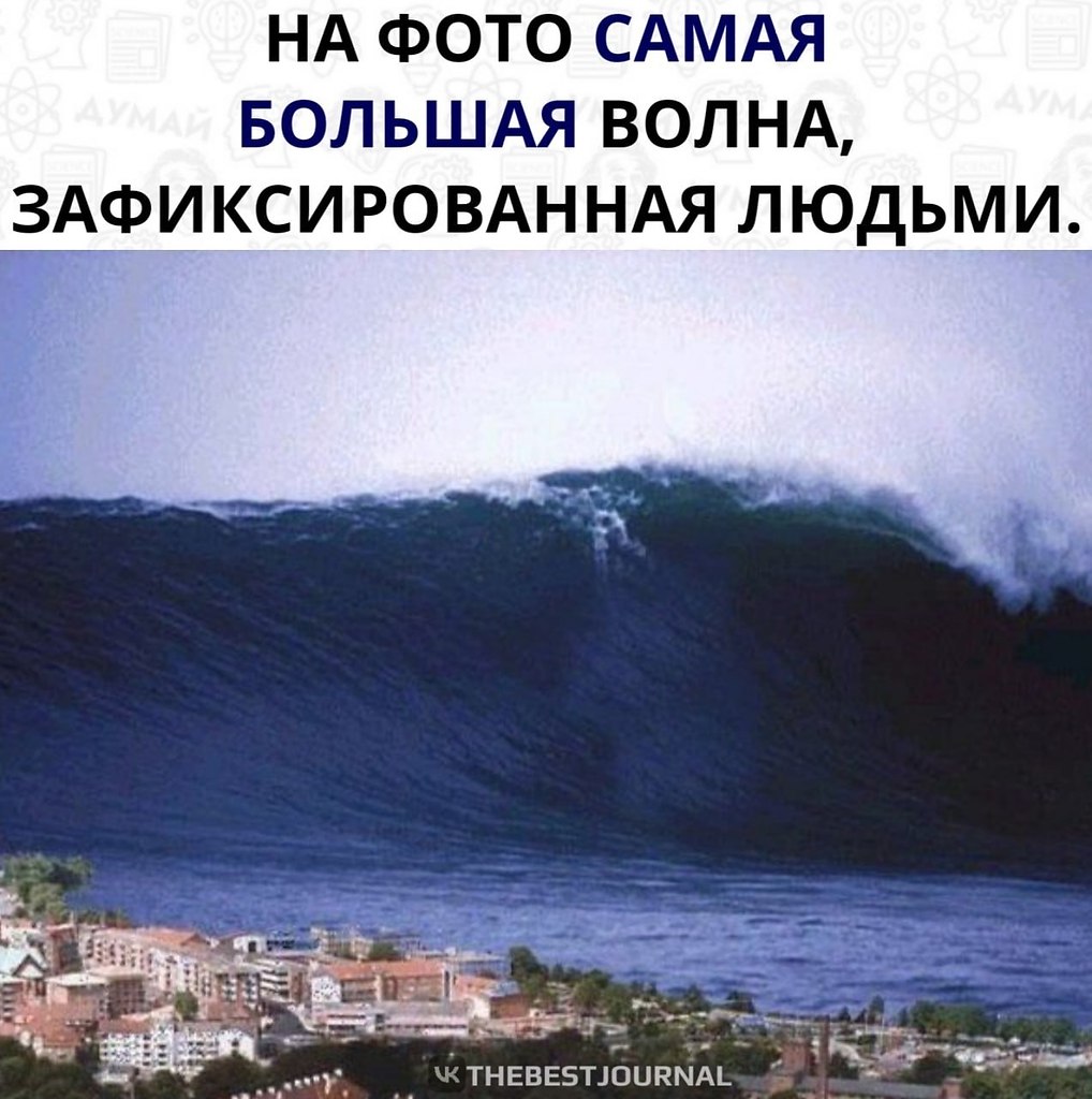 85  .        1971 .