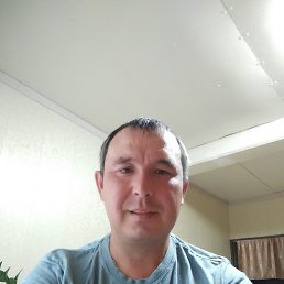 , 41, 