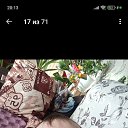 ���� �����, �����, 38 ��� - ��������� 16 ���� 2025 � ������ ���� ����������