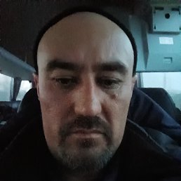 Vlaglmir, 40, 