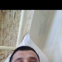 , 44, 