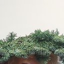 ���� ��������, ������������, 51 ��� - ��������� 4 ������� 2023