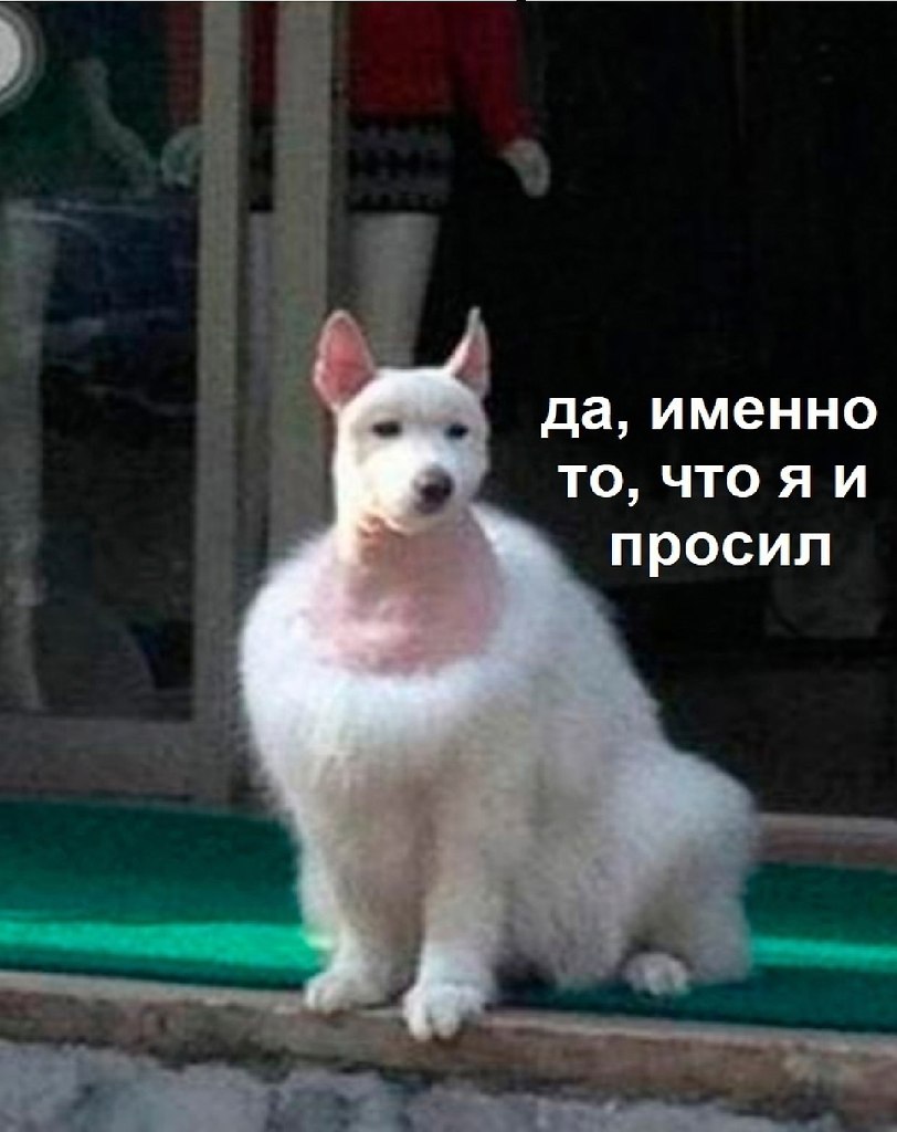 JPG - 9  2025  23:03 - 4