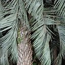 ���� �������, ��������� - ��������� 17 ������� 2025 � ������ ���� ����������