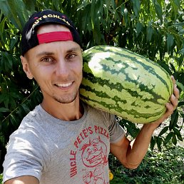 , 36, 