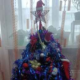 ���� ����, �����������, 40 ��� - ��������� 28 ������ 2025