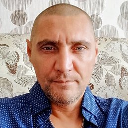 ������, 48 ���, ����������