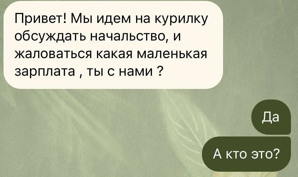 �������������� - 13 ��� 2026 � 19:16