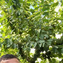 ���� �����, ������, 29 ��� - ��������� 23 ������� 2023