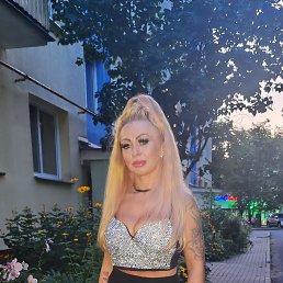 ���� �����, �����, 41 ��� - ��������� 25 ������� 2026