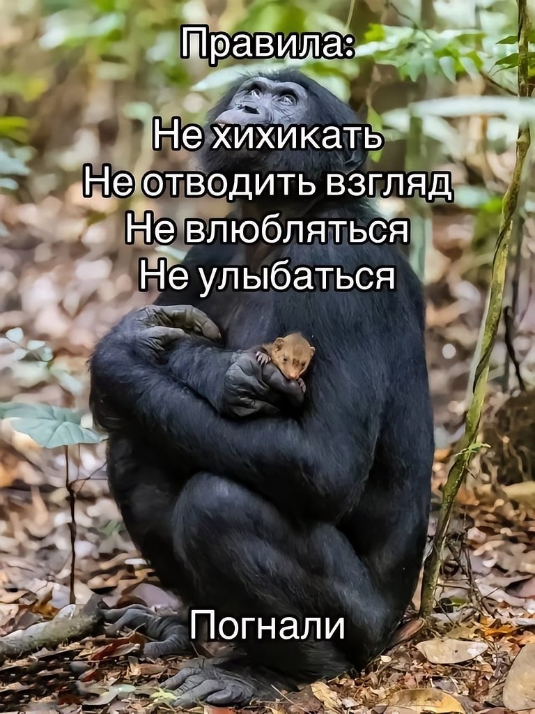 ���� - 24 ������� 2025 � 12:52 - 2