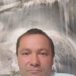 , 46, 