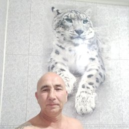 , 46, 