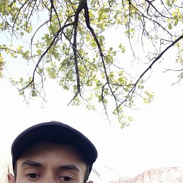 ���� Elvin, ����, 30 ��� - ��������� 1 ������� 2024