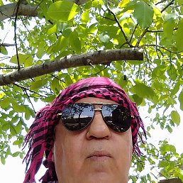 ����, 65 ���, ������