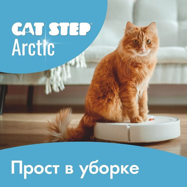     CAT STEP Arctic?   : vk.cc/crn0Ui - 2