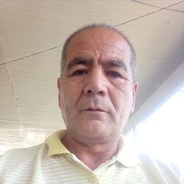, 52 , 