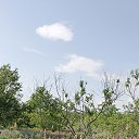 ���� �������� �����, ��������, 39 ��� - ��������� 20 ������� 2026 � ������ ���� ����������