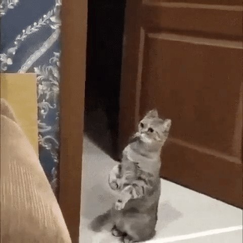 ,  3  ,     .    ?