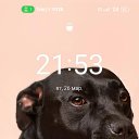  , -, 44  -  26  2024    