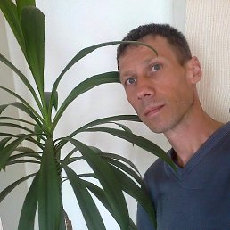 ������, ������� ����, 52 ����