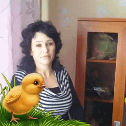 , 58, 