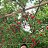 ���� Faizyllo, �������, 54 ���� - ��������� 30 ��� 2025