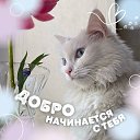 ���� ������, ������, 68 ��� - ��������� 19 ��� 2024 � ������ ���� ����������