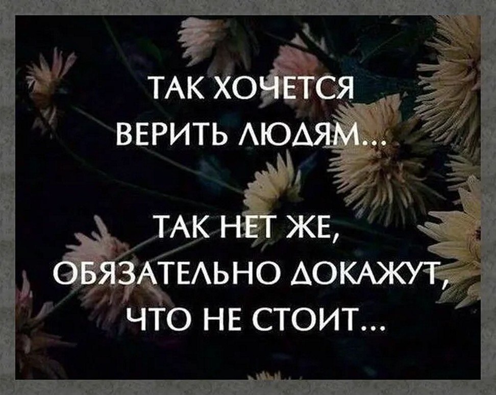 ☆ ☆ - 18  2025  12:49