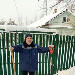 ����, �����-���������, 66 ���