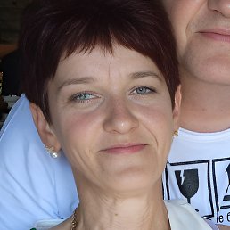 �������, ������, 50 ���