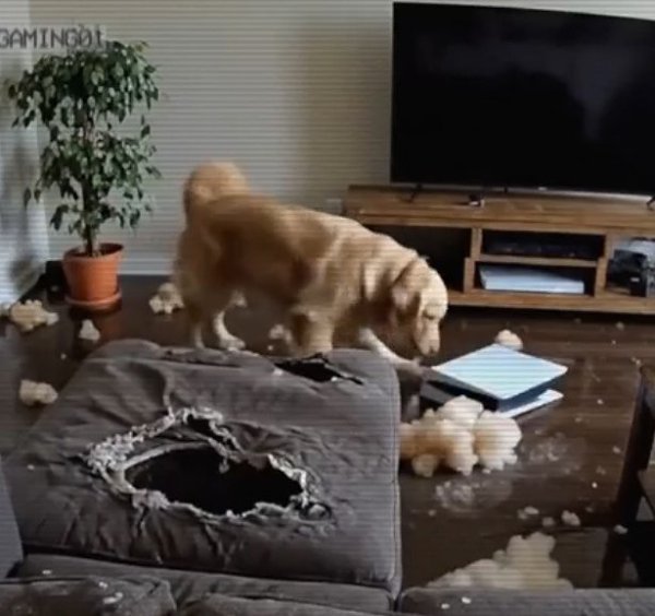 ����� �� �� ������� ������� - 2