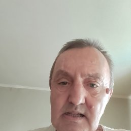 , 61, 