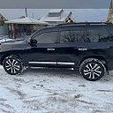 ���� �����, �����������, 37 ��� - ��������� 4 ���� 2026 � ������ ���� ����������