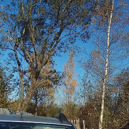 ������, �����-���������, 65 ���