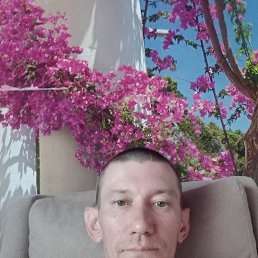 ���� ������, ������������, 42 ���� - ��������� 2 ������ 2026